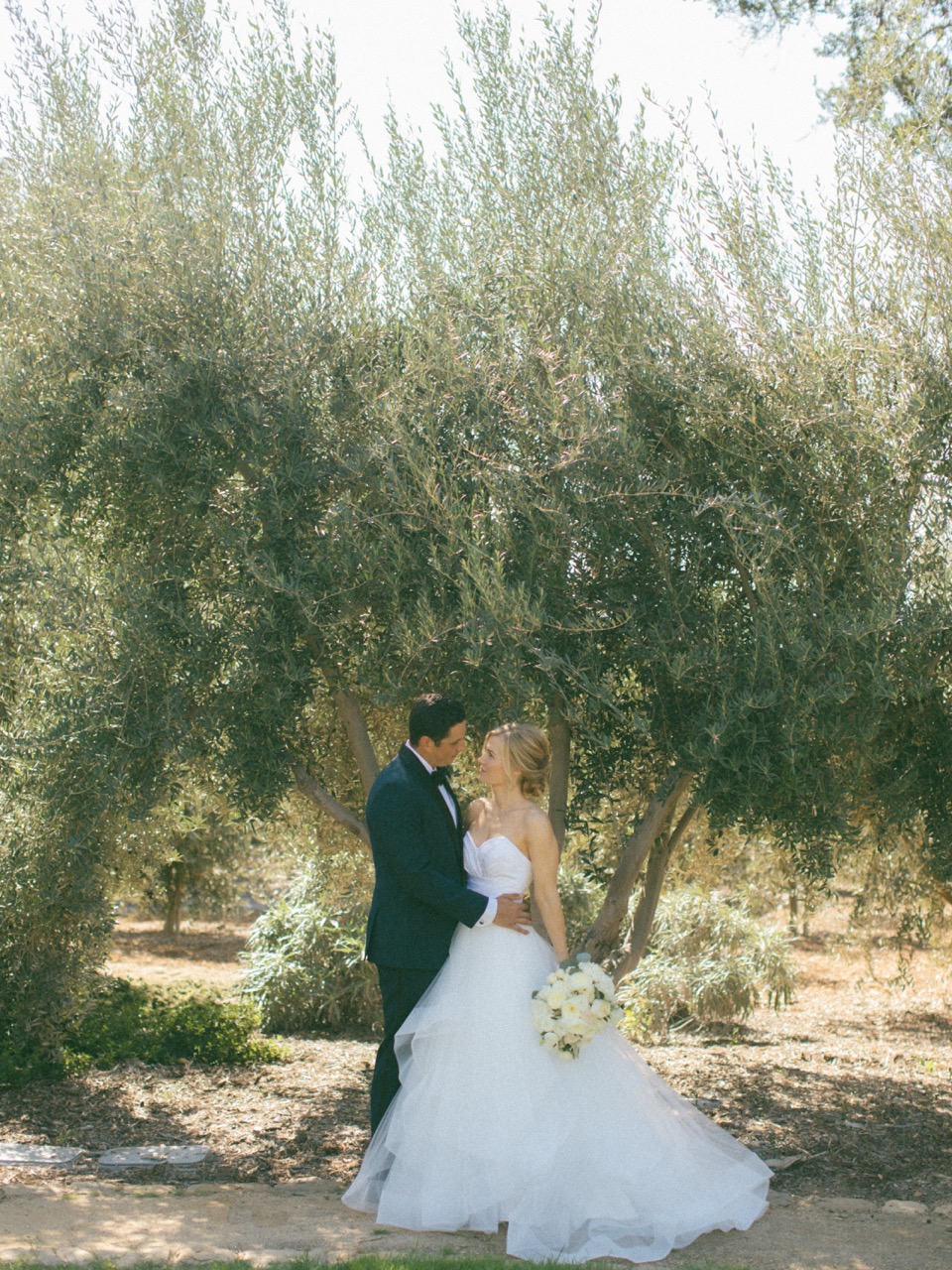 Couple under olive tree