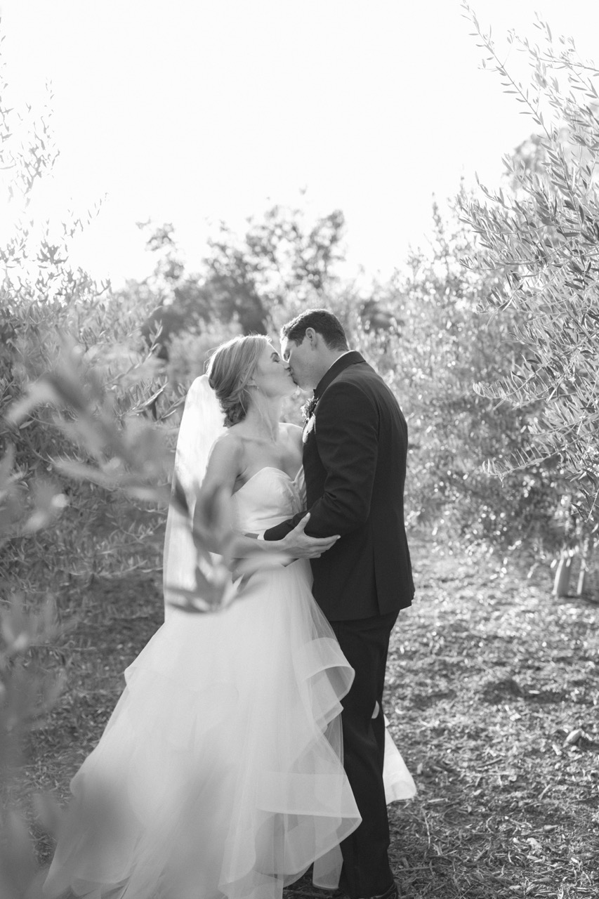 Couple in olive grove