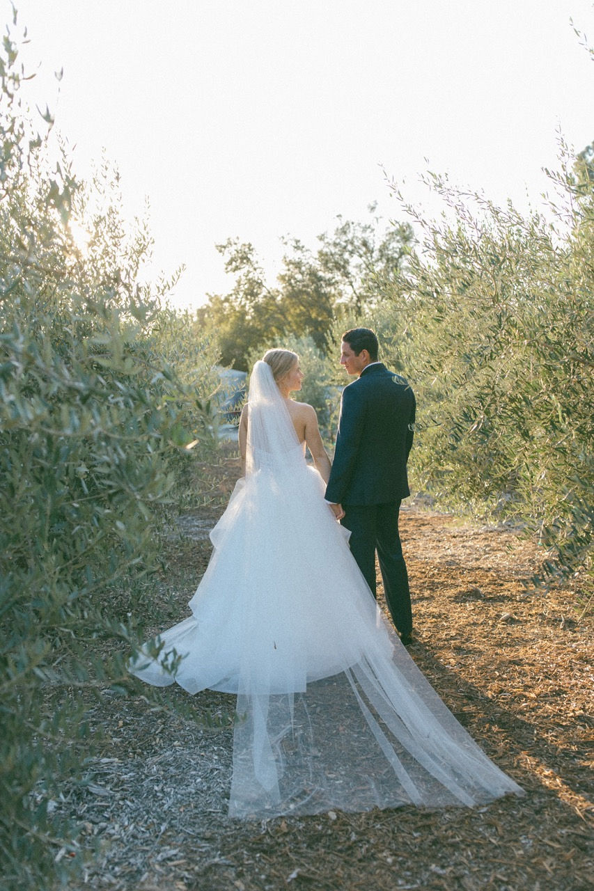 Couple in olive grove at golden hour