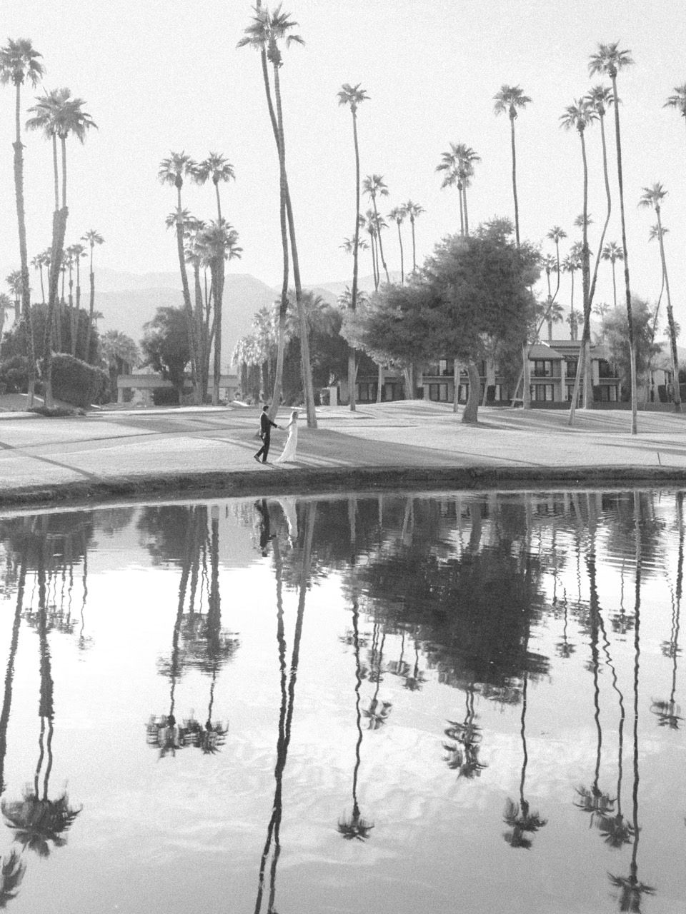 Couple reflected in water with palm trees